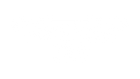 Lone Star Disc